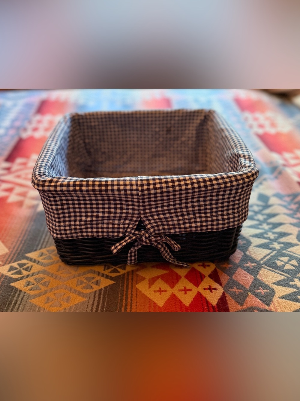 Pottery Barn Kids Sabrina Navy Blue Basket Navy Gingham Liner 12” Medium
